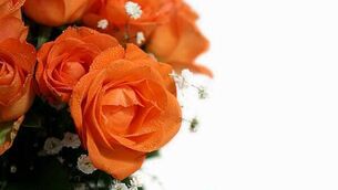 Ireland AM host Eric Roberts revealed as sixth contestant for Dancing with the Stars