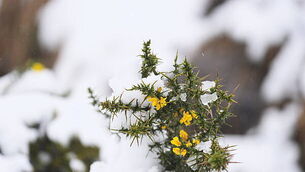 Man (52) in control of entire cell of Dublin drug distribution network is jailed