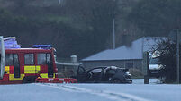 Man (20s) dies and four injured in car crash in Limerick