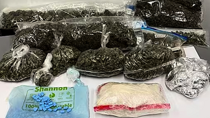 Trial of Irish man accused of murdering American nurse to start in February