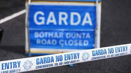 Woman (80s) hospitalised after five-car crash on M1