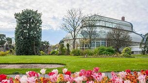 What is the Winter Solstice? And how can you celebrate it?