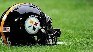 Pittsburgh Steelers wide receiver DK Metcalf appears to throw punch at fan