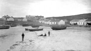 Our deserted islands have survived in their own way