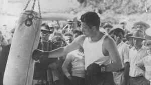 The Emerald Emperors with links to Mayo