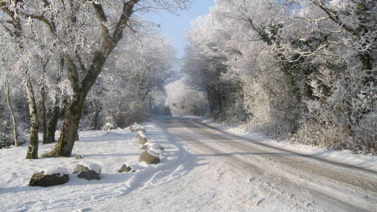 A season to be young at heart in that place you call home