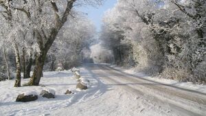 A season to be young at heart in that place you call home