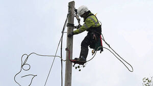 Oireachtas committee will keep pressure on ESB to deliver on 'highly ambitious' targets