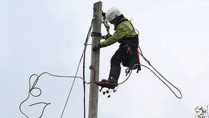 Gardaí investigate discovery of human skull in Co Cork