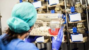 Voters thought Sinn Féin was ‘pulling punches’ on immigration, McDonald says