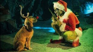 Student sleepout raises over €300,000