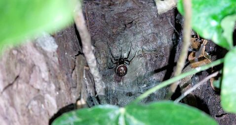 I don't know what bit me... not once but twice