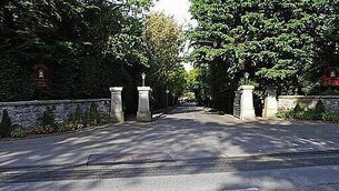 Woman who beat and robbed pensioner jailed for 4 years and given 7-year road ban