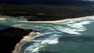 Call to roll out Tasers across PSNI as attacks on officers spiral