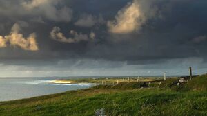 New strategy aims to boost Mayo's marine offering