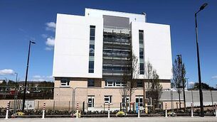 Irish basket weaver takes craft to Glastonbury and beyond