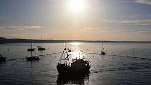 Mother of tractor crash victim (16) 'utterly heartbroken at what has happened our perfect family'