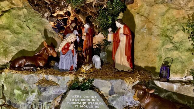 Local Notes: All the latest news from Carra Country