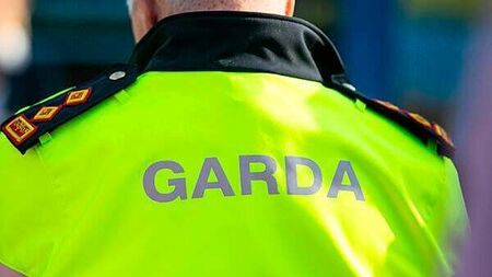 Eight cars set alight in late-night fire in Co Meath