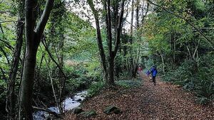 Government paid nearly €1.4m to expand Glen of the Downs nature reserve
