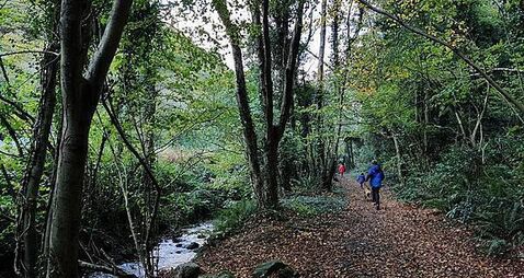Government paid nearly €1.4m to expand Glen of the Downs nature reserve