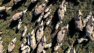 Anthony Boyle: Say Nothing inspired family discussions on the Troubles