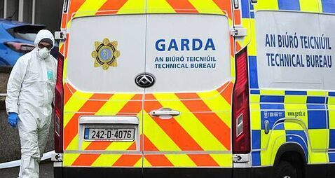 Bodies of boy and man removed from separate Dublin homes