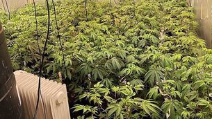 What the papers say: Monday's front pages