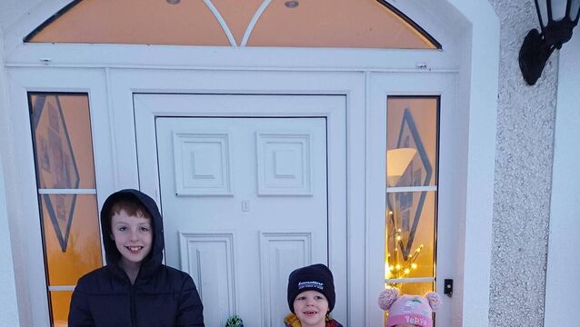 <p>Conor, Aaron, Darragh and Charlotte Colgan, from Kiltimagh, enjoying last week's snowfall.</p>