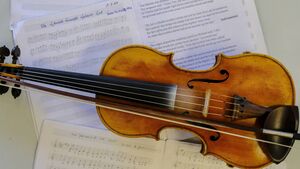 Rare chance for wannabe trad musicians