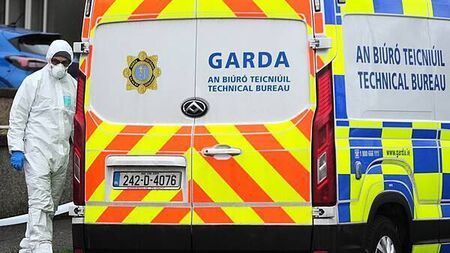 ‘Deep sense of sadness’ following death of father and son in west Dublin