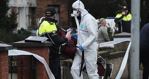 Post-mortems completed on Dublin father and son