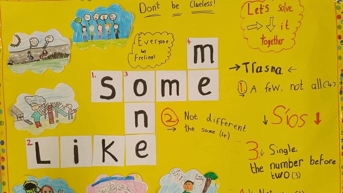 New Year celebrations for two Mayo schools
