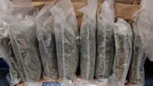 Parents of boy who died with severe scoliosis pledge to continue advocating for children