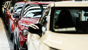 Female-led mart behind new sale system for restricted herds