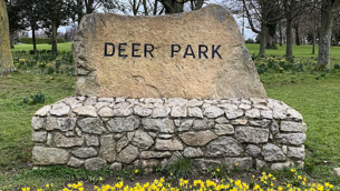 Rowing Ireland refused planning permission for centre in Co Wicklow due to impact on wild geese Rowing Ireland refused planning permission for centre in Co Wicklow due to impact on wild geese