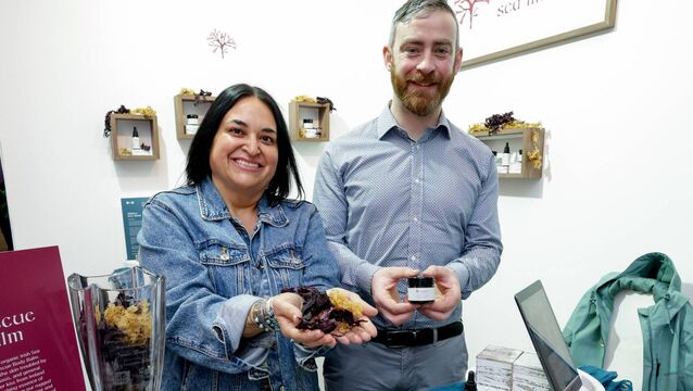 Mayo businesses get to showcase with the best