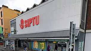 Endangered agile gibbon born in Fota Wildlife Park