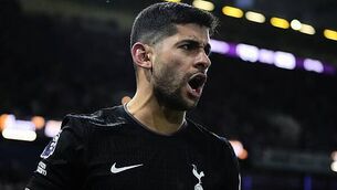 Harry Wilson free-kick snatches dramatic late win for Fulham over Brighton