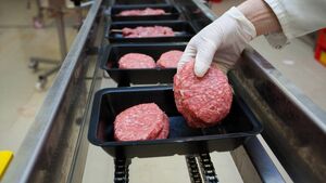 INHFA calls for a new board make-up and independent chair of Bord Bia