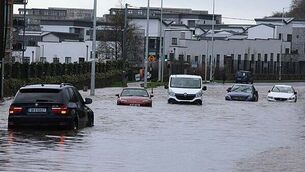 Court considers request to find Child and Family agency in contempt of court