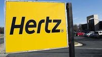 Hertz ordered to pay €10k to blind person after €150 valet charge to clean up guide dog hair