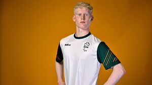 Damien's double at Euros earns Sports Stars selection