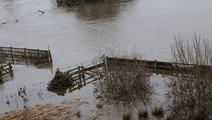 31-year-old man told grandmother he had killed her son when she was in hospital 31-year-old man told grandmother he had killed her son when she was in hospital