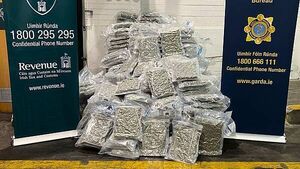€10m worth of cannabis seized in Co Louth as three men arrested