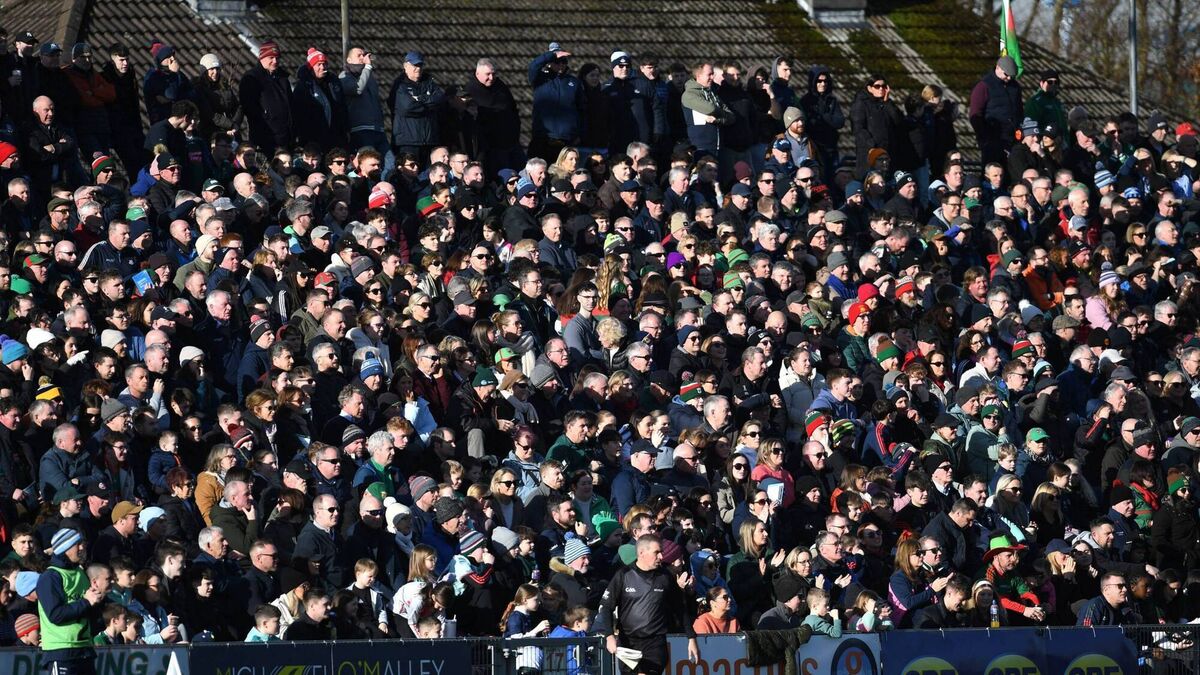 Entertain them and the crowds will come