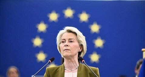 Mercosur deal must not be implemented while EU court deliberates, MEP says