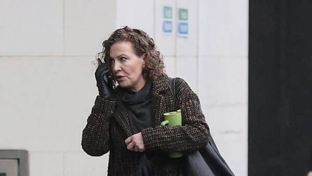 Woman tells inquest she heard two screams on night Noah Donohoe disappeared