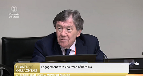‘I’m not a champion for Brazil’, Bord Bia chairman tells committee