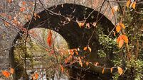 Local Notes: Magnificent autumnal vista at Moorehall Bridge.